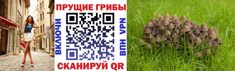 Галлюциногенные грибы GOLDEN TEACHER Костерёво